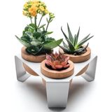 Halohope Beyaz Metal Stantlı 3’lü Skulent Saksısı – Metal Stant ve Meşe Saksılar, Modern Tasarım, Dekoratif Ç