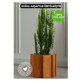 Halohope El Yapımı Ahşap Büyük Sekizgen Dekoratif Modern Kaliteli Bahçe Balkon Saksı Saksılık Stant Çiçeklik