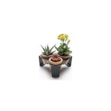 Halohope Metal Stantlı 3’lü Skulent Saksısı – Siyah Metal Stant ve Meşe Saksılar, Modern Tasarım, Dekoratif Çiçek Saksılığı, Skulent ve Kaktüs İçin Şık Saksı, Ev ve Ofis Dekoru