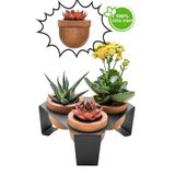 Halohope Metal Stantlı 3'Lü Skulent Saksısı Siyah Saksılık