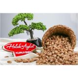 Haluk Aydın Kuruyemiş Siirt Fıstığı 250 gr