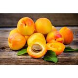 Hamile Marketim Taze Kayısı 250 gr
