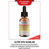 Hammal Aktarcı Dede Hammal Altın Otu Bitkisel Damla 30 ml Geleneksel Doğal İçerikli Etkili Formül Camellia Sinensis ve Mate