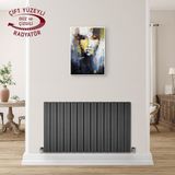 Hammam 600 x 1035 MM Amber Yatay Antrasit Alüminyum Radyatör Standart Bağlantı