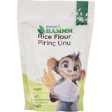 HAMMM Pirinç Unu 500 gr