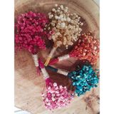 Handmade Rengarenk Gerçek Şoklanmış Cipsodan Damat Yaka Çiçeği, Sağdıç Çiçeği Dekorasyon Çiçek - 001-Renkli