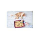Handy Bear Kedi Kumu %100 Organik Çam Peleti Net 10 Kg