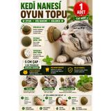 Hane Dostu 5 CM Kedi Nanesi Cat Mint Oyun Topu Yapışkanlı Diş Temizleme Oyuncağı