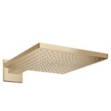 Hansgrohe 26250140 HG Raindance® 300 1 Jet Tavan Bağlantısı İle Mat Bronz E Tepe Duşu