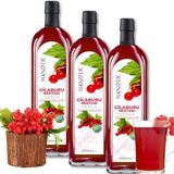 Hanzade Bitkisel Gilaburu Suyu Nektarı 1 Litre x 3 Adet Şeker İlavesiz Cam Şişe