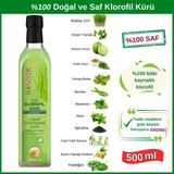 Hanzade Bitkisel Sıvı Klorofil Kürü Buğday Çimi Ilaveli Bitki Ekstraktları 500 ml Cam Şişe - 1 Adet