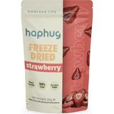 HapHug Freeze Dried (Dondurularak Kurutulmuş) Çilek - Freeze Dry Meyve Kurusu 20gr - 1 Adet