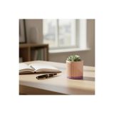 Happiears Modern Tasarım Dekoratif Saksı - Pastel Serisi Pembe