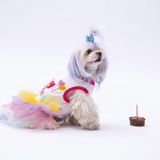 Happy Birthday Kedi Köpek Elbisesi - Kedi Köpek Kıyafeti S