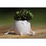 Happy Pot - Mini Sukulent ve Kaktüs Saksısı - Sevimli Masaüstü Dekoratif Saksı - Modern Ev ve Ofis Hediyesi