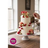 Happyland Kırmızı Pasta Süsü 22'li Pasta Topları,Kelebek,Çiçek ,Tüy HappyBirthday Süsleme Seti HP608