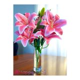 Happyland Yapay Çiçek Lilyum Demeti Tomurcuklu Pembe 1 Demet 9 ^lu 50 cm