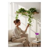 Happyland Yapay Çiçek Yapay Sarmaşık Oval Kalp Model Alacalı 12'li Paket 6 CM Yapraklı 230 Cm HPY26177