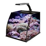 Haqos Belly Box 25 Ledli Sumplu Nano Akvaryum 26x26x24cm