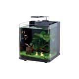 Haqos Cube Box 25 Ledli Sumplu Nano Akvaryum 18Lt Siyah