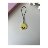 Hara Company Stray Kids Skzoo Bokkari Felix Lightstick Telefon Charm / Termos Süsü
