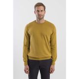 Hardal Slim Fit Bisiklet Yaka Triko Kazak