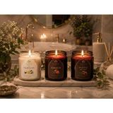 Harem Mum Premium Kokulu Mum 3'lü Set Vanilya Amber Sandal Ağacı El Yapımı Dekoratif Mum 3X150G