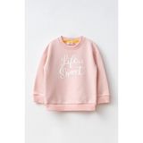 Haribo Kız Çocuk Baskılı Sweatshirt Pudra SW305 - 2 - 3 Yaş
