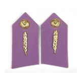 HARİCİ SUBAY İKMAL SPOLET - YAKA İŞARETİ