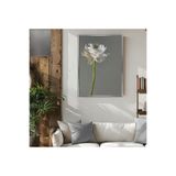 Harika bir ev |Beyaz Şakayık Çiçek Modeli|Çerçeveli Temperli Cam Tablo Tekli Dikey,Gümüş 40 x 60