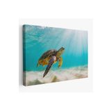 Harita Sepeti Caretta Caretta Dekoratif Kanvas Tablo 1174 150 X 255 Karışık Hs-1174