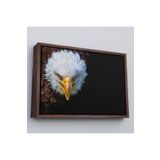 Harita Sepeti Kahverengi Çerçeveli Kartal Dekoratif Kanvas Tablo 40 X 55 Kahverengi Frm_1132