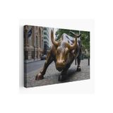 Harita Sepeti New York Boğa Heykeli Kanvas Tablo/Charging Bull-5160 35 X 50 Karışık Hs-5160