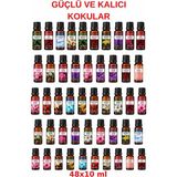 Harmoni Esansiyel Uçucu Yağ Buhurdanlık Yağı Difüzör Esansı Aromaterapi Koku Yağı 48X10ML