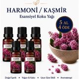 HARMONİ KAŞMİR Esansiyel Uçucu Koku 10ML Difüzör Esansı Buhurdanlık Yağı ve Oda Kokusu 5AL 4öde