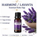 Harmoni Lavanta saf Esansiyel Uçucu Yağ Buhurdanlık Yağı Difüzör Esansı Aromaterapi Ortam Koku 10ML - Şeffaf