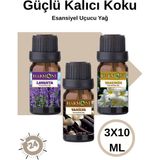 Harmoni Lavanta- Yasemin- Vanilya Saf Esansiyel Uçucu Yağ Buhurdanlık Yağ Esansı Parfüm 3X10ML - Lavanta-Yasemin-Vanilya