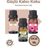 Harmoni Pudra- Yasemin- Amber 3X10ML Saf Esansiyel Uçucu Yağ Buhurdanlık Yağı Difüzör Esansı Aromaterapi - 3X10 ML