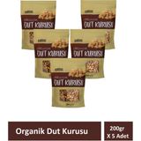 Harras Organik Dut Kurusu 200GR x 5 Paket - 1000 g