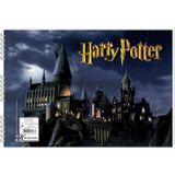 Harry Potter 25x35cm 15 Yapraklı Spiralli Resim Defteri / 300215-07