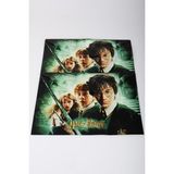 Harry Potter 2'li Çıtçıtlı Dosya, Lisanslı, Dekomus - Genel