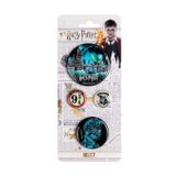 Harry Potter 4'lü Rozet Karışık Boy 306135-07