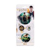 Harry Potter 4'lü Rozet Karışık Boy 306137-09