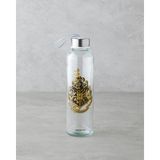Harry Potter Cam Lisanslı Şişe 500 ml Renkli