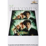 Harry Potter DEKOMUS İLE YENİ SEZON LİSANSLI HARRY POTTER 2'Lİ ÇITÇITLI DOSYA