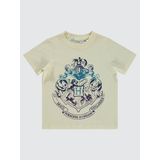 Harry Potter Erkek Çocuk Tişört 2-5 Yaş FilDişi