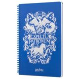 Harry Potter Expecto Spiralli Defter Mavi Çizgili