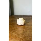 Harry Potter Golden Snitch Topu "ı Open At The Close "yazılı