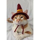 Harry Potter Hogwarts Gryffindor Cadı Şapka Örgü Kedi Köpek Şapkası Evcil Hayvan Şapkası