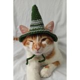 Harry Potter Hogwarts Slytherin Cadı Şapka Örgü Kedi Köpek Şapkası Evcil Hayvan Şapkası